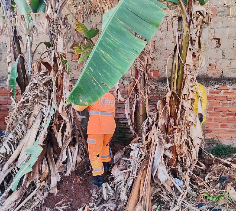 Corpo em decomposição é encontrado enterrado em terreno baldio em Uberlândia - Foto: Divulgação/CBMMG