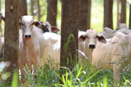 image 750x500 68b6018d07701 2uCvH9