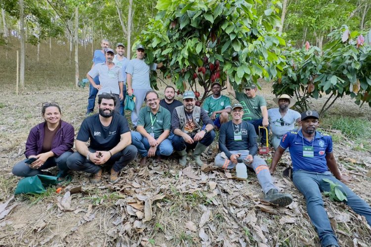 Curso piloto de cacauicultura capacita produtores em Raul Soares  image 750x500 68c815d54607b gDnoC6