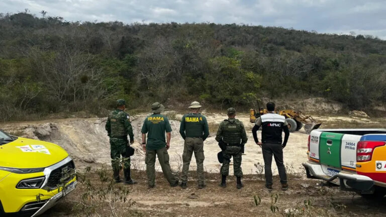 Operação Mata Atlântica em Pé 2025: mais de R$ 26 milhões em multas aplicadas em Minas Gerais - Foto: Divulgação/PMMG