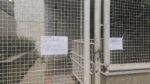 Médico é agredido por paciente em posto de saúde de BH - Foto: Reprodução