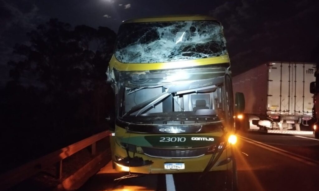 Árvore cai e atinge ônibus com 27 passageiros na BR-262, em Luz - Foto: Divulgação/PRF