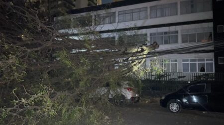 Queda de árvore atinge carro e deixa moradores sem energia na Savassi, em BH - Foto: Divulgação/Corpo de Bombeiros