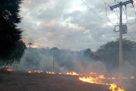 image 750x500 68efb8fb4cab6 gCpcat