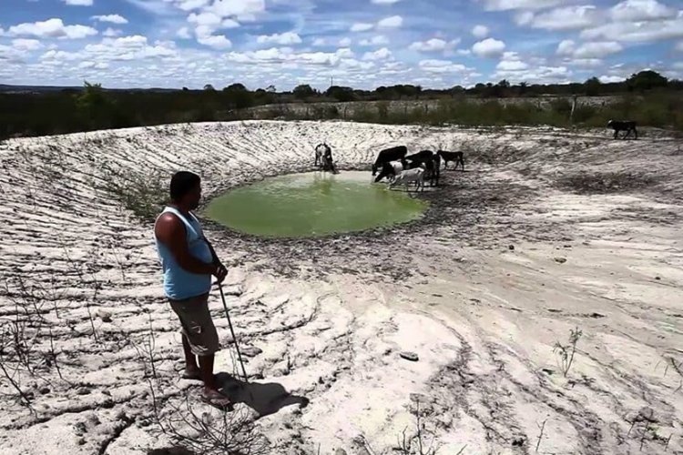 Agro sofre prejuízos de R$ 875 mi  image 750x500 68fb9245b9164 Zuh8CD