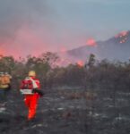 Incêndio de grandes proporções atinge a Serra de São José - Foto: Divulgação/CBMMG