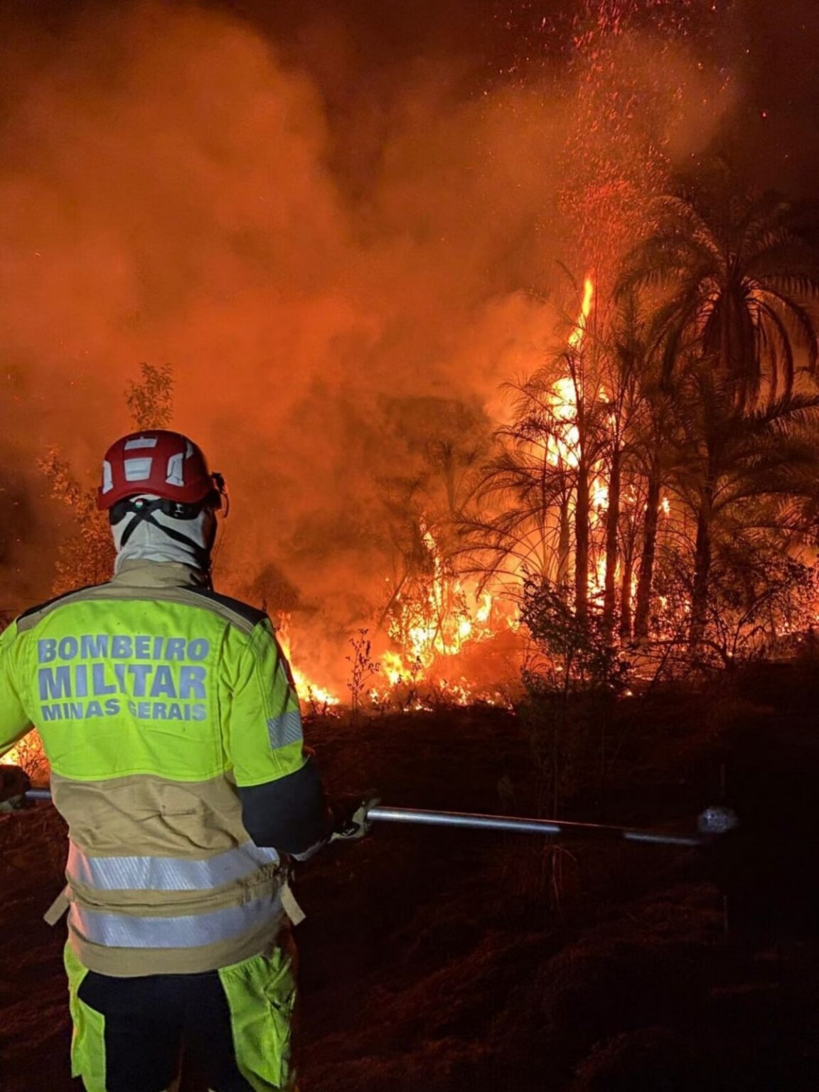 Minas Gerais decreta situação de emergência por incêndios florestais - Foto: Divulgação/Corpo de Bombeiros