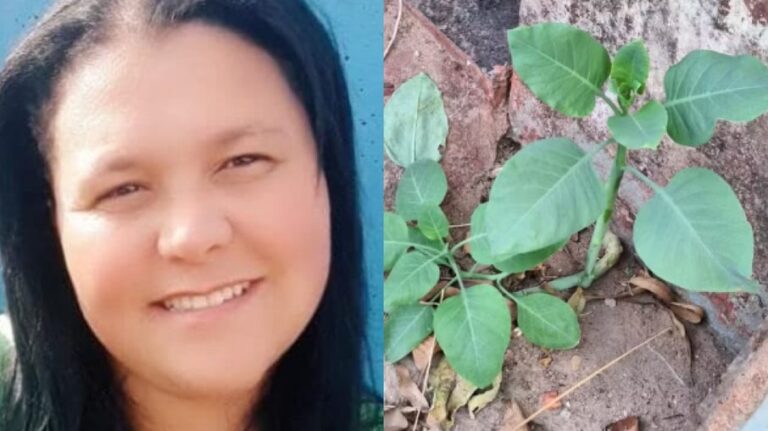 Mulher que morreu após comer “falsa couve” será enterrada em MG Mulher que morreu após comer