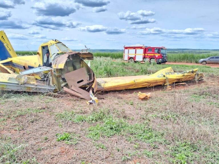 Avião agrícola cai em área rural de Campo Florido - Foto: Divulgação/CBMMG