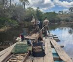 Operação Falcão Dourado desmonta garimpo ilegal no Rio Araçuaí, em MG - Foto: Divulgação/PF