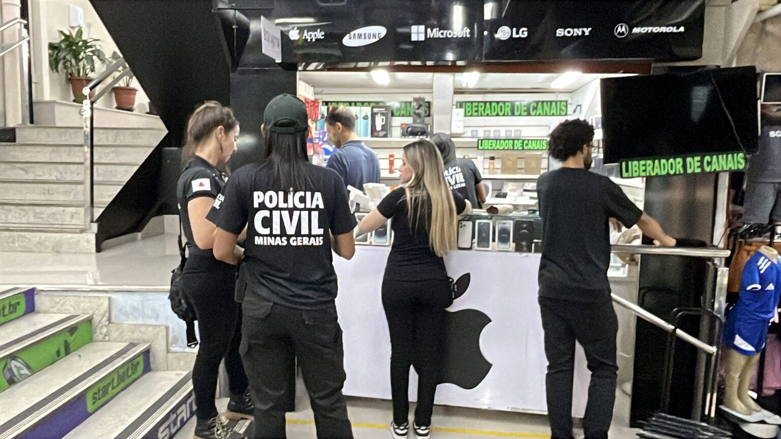 Celulares são recuperados durante operação contra receptação na Grande BH - Foto: Divulgação/PCMG
