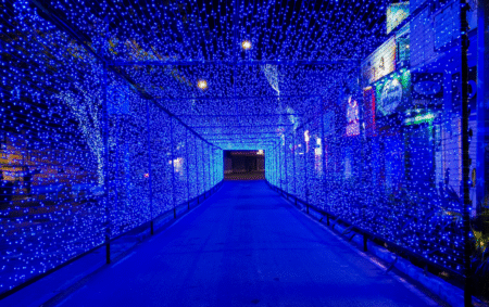 Barbacena acende as luzes do Sonho de Natal 2025 nesta sexta-feira Screenshot 20251114 112718 Fotos