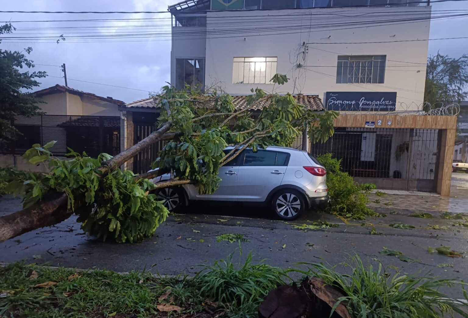 Chuva forte derruba árvores, deixa feridos e causa apagão em Divinópolis - Foto: Reprodução/Redes Sociais
