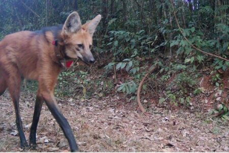 image 750x500 690623d95305b ElacEK