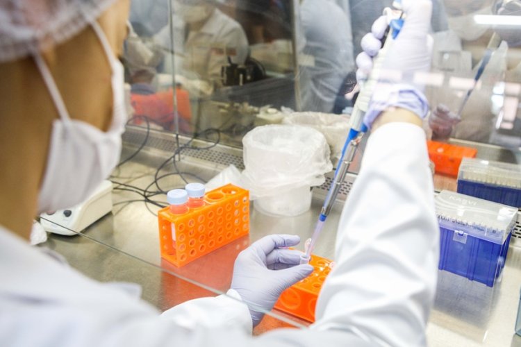 Mais de 4 mil casos de dengue em JF image 750x500 69246d963cec2 0cTBe0