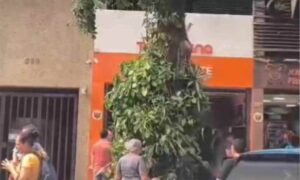 Incêndio atinge lanchonete no Centro de Belo Horizonte - Foto: Divulgação/CBMMG