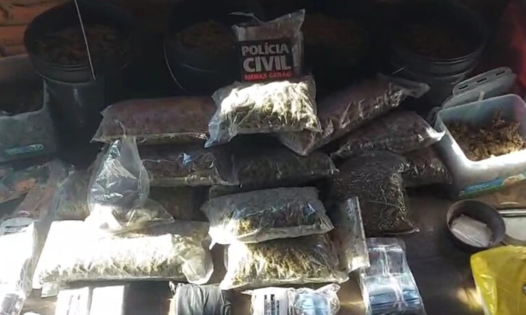 Operação mira grupo que movimentou R$ 50 milhões com drogas de alto padrão em MG Operação mira grupo que movimentou R$ 50 milhões com drogas de alto padrão em MG - Foto: Divulgação/PCMG