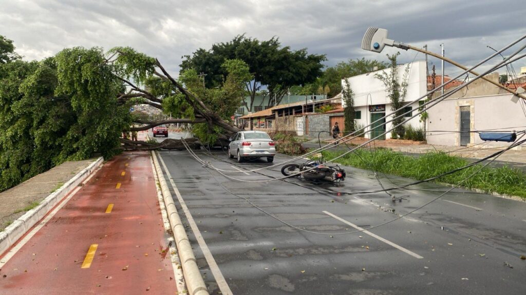 Árvore cai em cima de veículos e deixam militar ferido na Pampulha, em BH - Foto: Divulgação/CBMMG