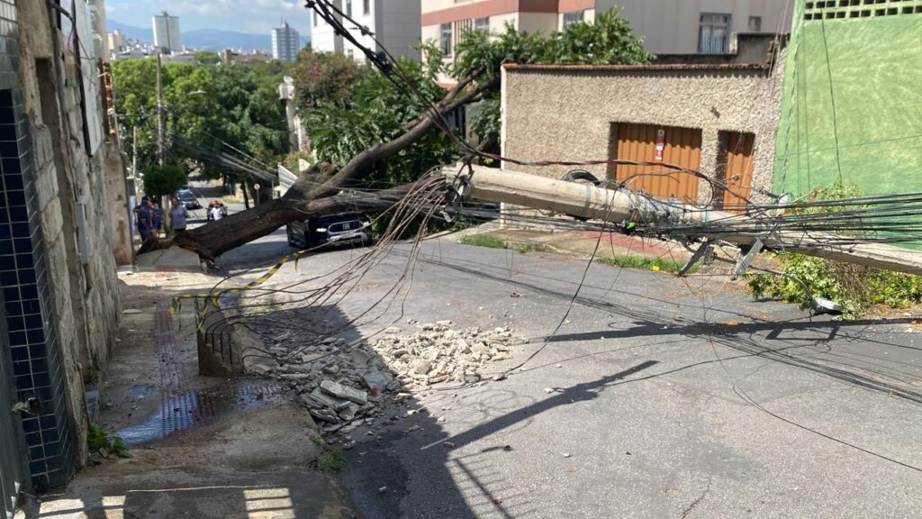 Árvore de grande porte cai sobre em rua do bairro Padre Eustáquio, em BH - Foto: Divulgação/CBMMG
