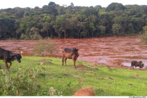 Justiça determina que Vale transfira R$ 234 milhões para atingidos em Brumadinho - Foto: Divulgação/Tribunal de Justiça de Minas Gerais