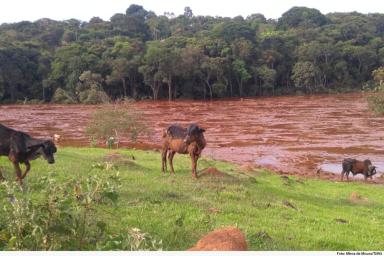 Justiça determina que Vale transfira R$ 234 milhões para atingidos em Brumadinho - Foto: Divulgação/Tribunal de Justiça de Minas Gerais