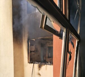 Bombeiros salvam cachorro de incêndio em apartamentos em BH - Foto: Divulgação/CBMMG