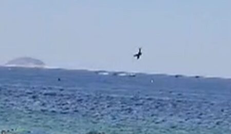 Piloto que morreu em queda de aeronave em Copacabana será sepultado em Juiz de Fora Piloto que morreu em queda de aeronave em Copacabana será sepultado em Juiz de Fora - Foto: Reprodução