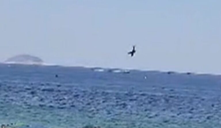 Piloto que morreu em queda de aeronave em Copacabana será sepultado em Juiz de Fora - Foto: Reprodução