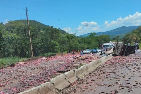 Carreta tomba, derrama carga de derrama carga e interdita Fernão Dias, na Grande BH - Foto: Reprodução/Redes Sociais