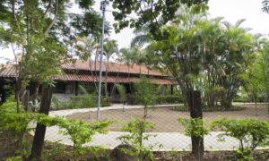 BH ganha novo espaço verde com a criação do Parque Municipal Coqueiros BH ganha novo espaço verde com a criação do Parque Municipal Coqueiros - Foto: Eric Bezerra/MPMG