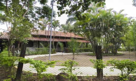 BH ganha novo espaço verde com a criação do Parque Municipal Coqueiros - Foto: Eric Bezerra/MPMG