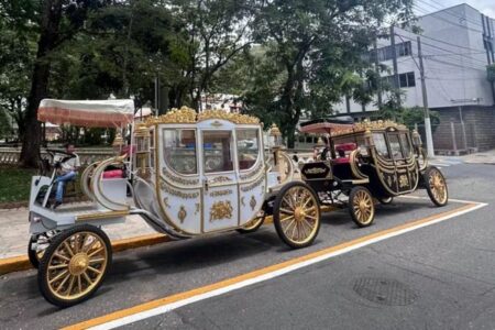 image 750x500 6931a6d88de7e hApc4i