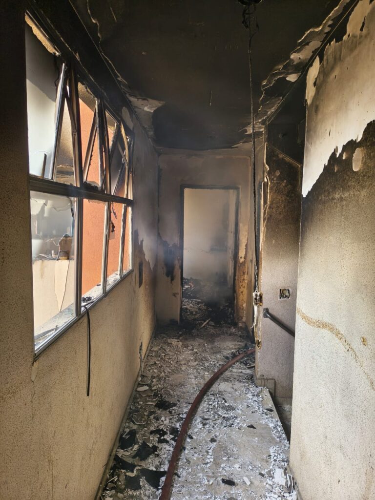 Bombeiros salvam cachorro de incêndio em apartamentos em BH - Foto: Divulgação/CBMMG