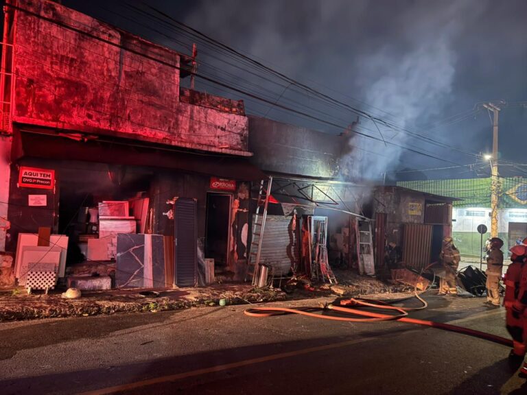 Incêndio destrói depósito e bombeiros resgatam nove cães em BH - Foto: Divulgação/CBMMG