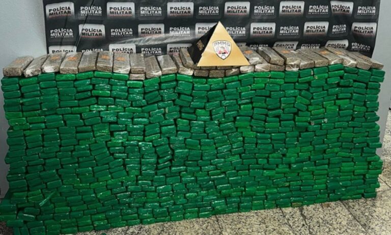 Polícia Militar apreende 850 quilos de maconha em Sete Lagoas - Foto: Divulgação/PMMG