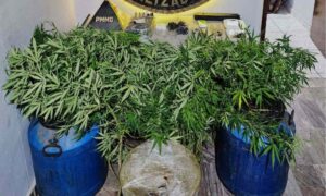 Homem é preso por manter laboratório de drogas em Contagem - Foto: Divulgação/PMMG