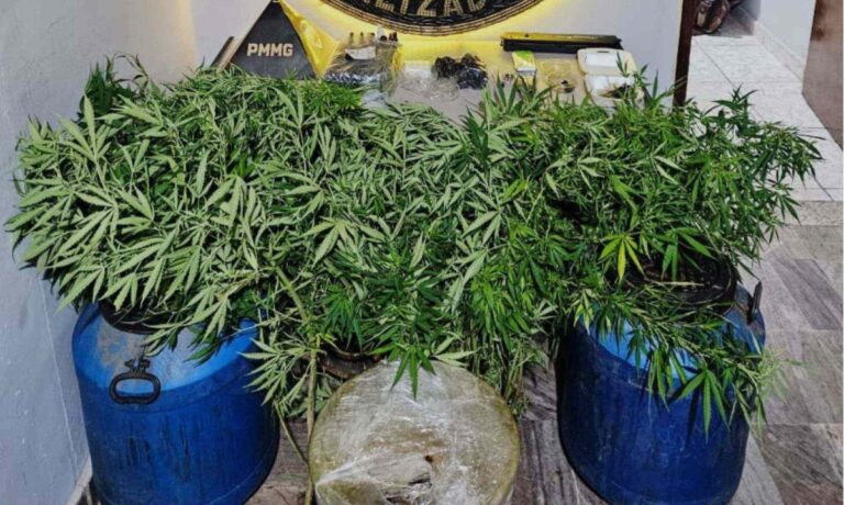 Homem é preso por manter laboratório de drogas em Contagem - Foto: Divulgação/PMMG