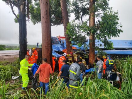 Sobe para 5 número de mortos em acidente com ônibus na BR-365, em Patos de Minas - Foto: Divulgação/CBMMG