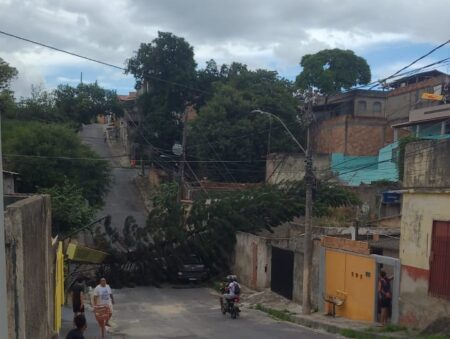 Vendaval derruba pinheiro, atinge poste e bloqueia rua no bairro União, em BH - Foto: Divulgação/CBMMG