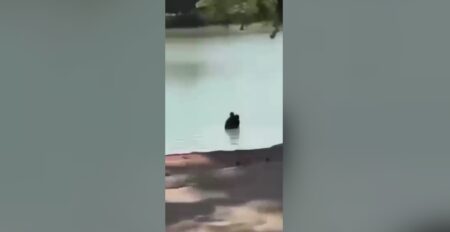 Casal é flagrado aos beijos dentro da Lagoa da Pampulha, em BH Casal é flagrado aos beijos dentro da Lagoa da Pampulha, em BH - Foto: Reprodução