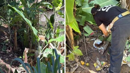 Homem é encontrado morto em área de mata em Caratinga - Foto: Divulgação/Polícia Militar