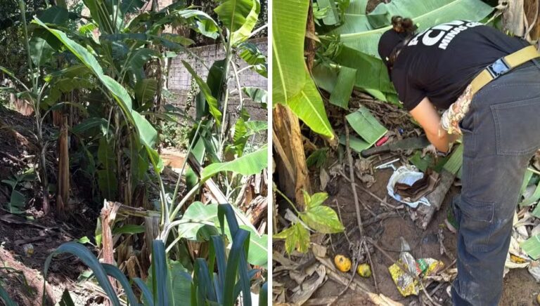 Homem é encontrado morto em área de mata em Caratinga - Foto: Divulgação/Polícia Militar