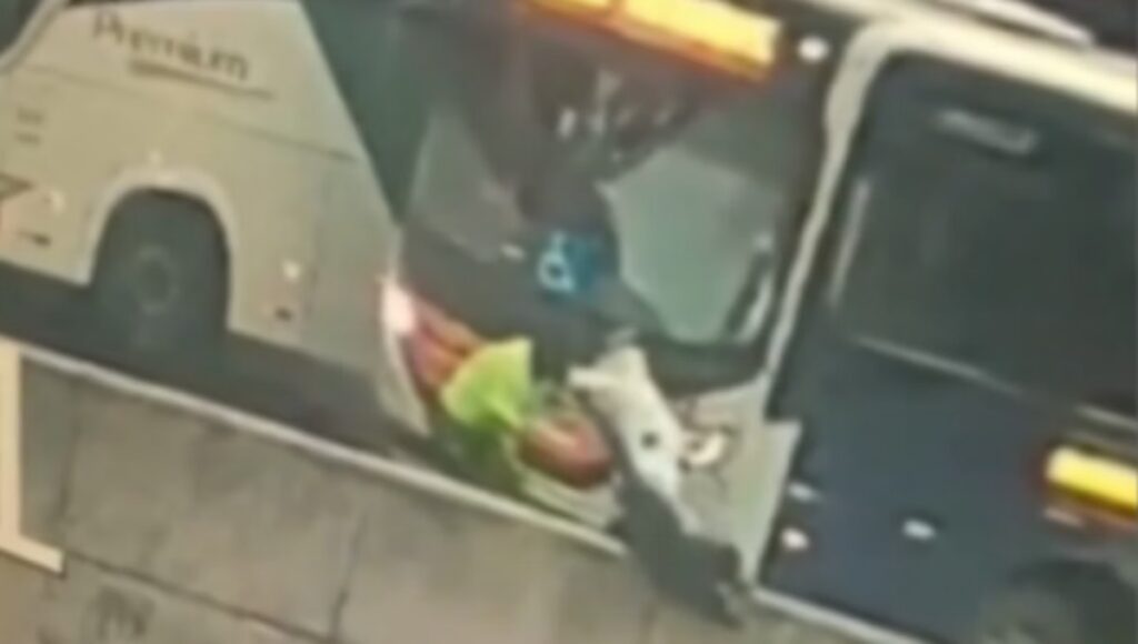 Bombeiros retomam buscas por homem jogado no Rio Arrudas, em BH Bombeiros retomam buscas por homem jogado no Rio Arrudas, em BH - Foto: Reprodução