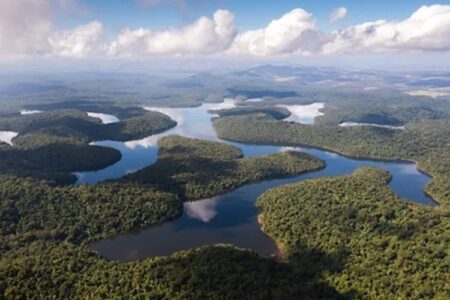 Parque recebe 50 mil visitantes image 750x500 69650582b3674 JDL5cz