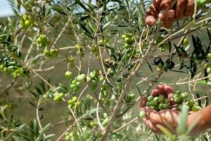 image 750x500 697ccbfa8e882 9YctrI