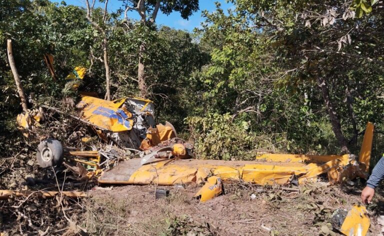 Piloto sobrevive à queda de avião agrícola em Paracatu - Foto: Divulgação/Corpo de Bombeiros