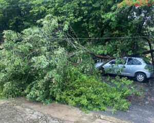 Chuvas fortes causam estragos em BH e Região Metropolitana Chuvas fortes causam estragos em BH e Região Metropolitana - Foto: Divulgação/CBMMG