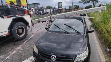Árvore e poste caem sobre carro e caminhão em rua do bairro Camargos, em BH - Foto: Divulgação/CBMMG
