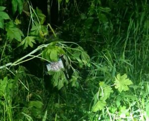 Homem é preso por feminicídio após tentar simular latrocínio em Pouso Alegre Homem é preso por feminicídio após tentar simular latrocínio em Pouso Alegre - Foto: Divulgação