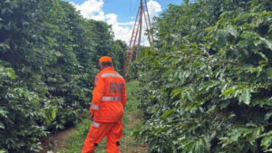 Técnico de internet morre eletrocutado durante serviço em poste na zona rural de Campos Gerais Técnico de internet morre eletrocutado durante serviço em poste na zona rural de Campos Gerais - Foto: Divulgação/CBMMG